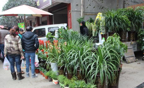 等了五年,周六見(jiàn)