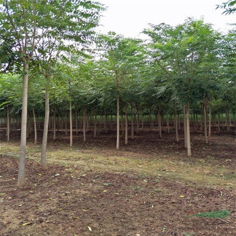 企業(yè)動(dòng)態(tài)